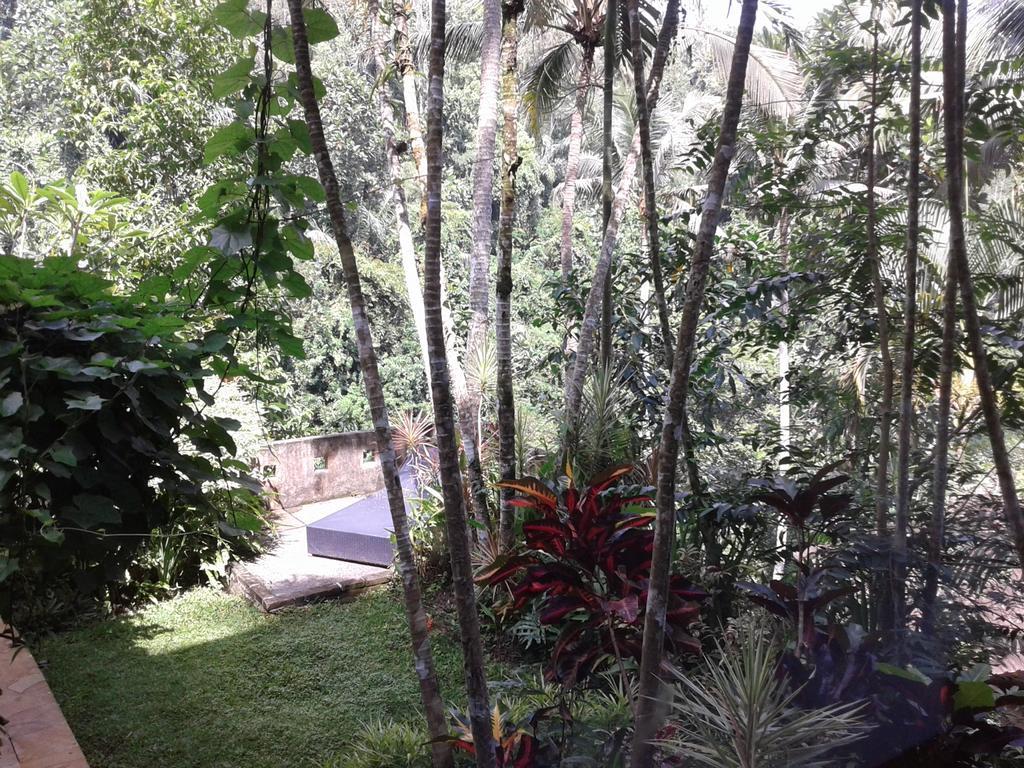 Anahata Villas&Spa Resort Ubud Dış mekan fotoğraf