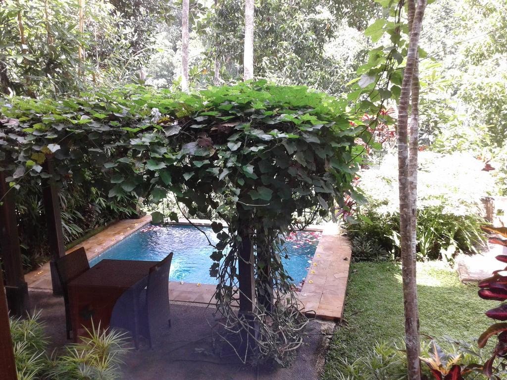 Anahata Villas&Spa Resort Ubud Dış mekan fotoğraf
