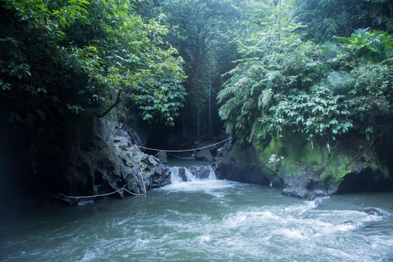 Anahata Villas&Spa Resort Ubud Dış mekan fotoğraf