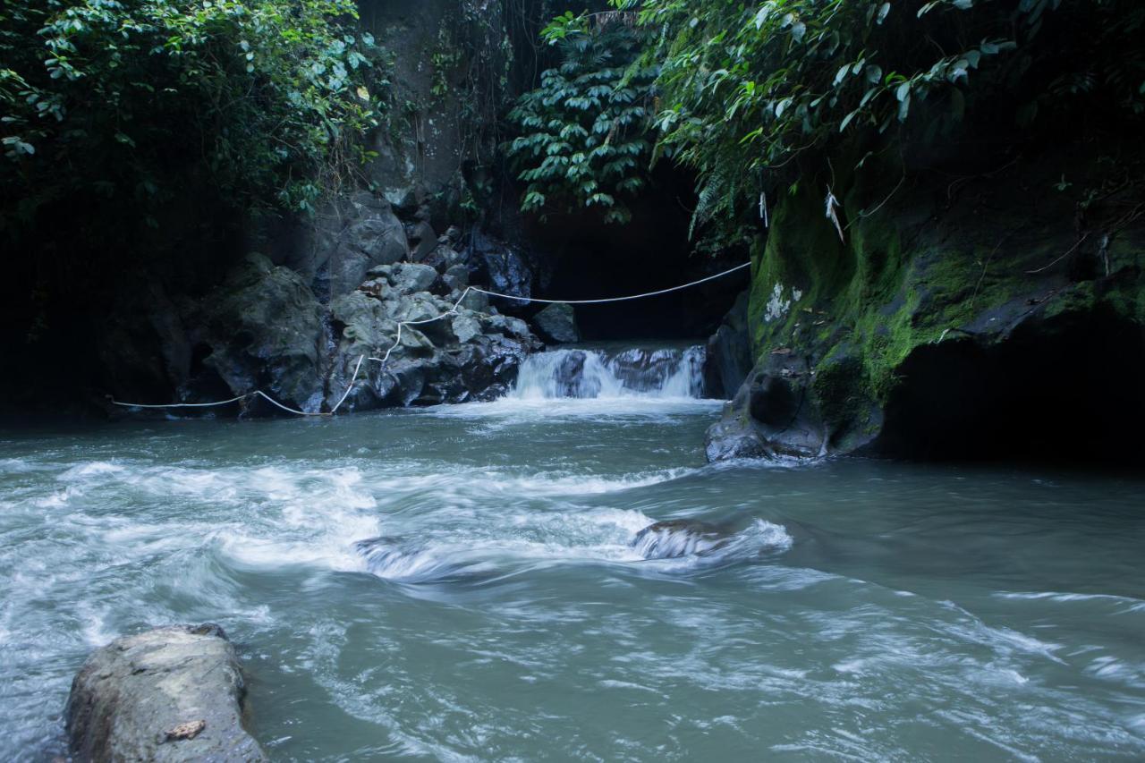 Anahata Villas&Spa Resort Ubud Dış mekan fotoğraf