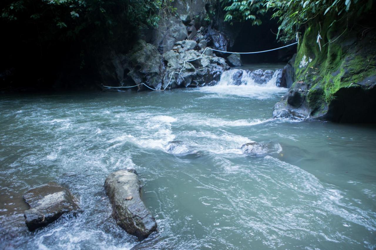 Anahata Villas&Spa Resort Ubud Dış mekan fotoğraf